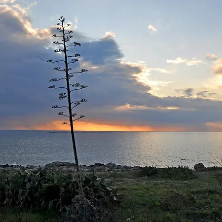 Vila Dei Pini Alliste